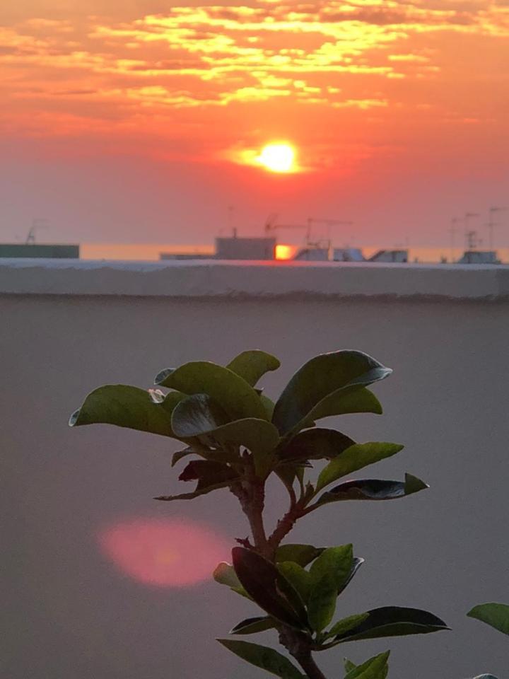 Apartament Sibilla Gallipoli Zewnętrze zdjęcie